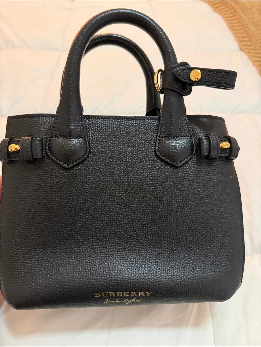 Burberry Black Leather Mini Satchel with Gold Hardware